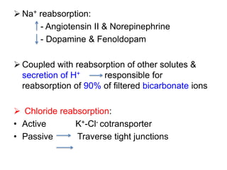  Na+ reabsorption:
- Angiotensin II & Norepinephrine
- Dopamine & Fenoldopam
 Coupled with reabsorption of other solutes &
secretion of H+ responsible for
reabsorption of 90% of filtered bicarbonate ions
 Chloride reabsorption:
• Active K+-Cl- cotransporter
• Passive Traverse tight junctions
 