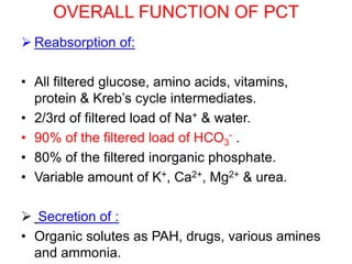 OVERALL FUNCTION OF PCT
 Reabsorption of:
• All filtered glucose, amino acids, vitamins,
protein & Kreb’s cycle intermediates.
• 2/3rd of filtered load of Na+ & water.
• 90% of the filtered load of HCO3
- .
• 80% of the filtered inorganic phosphate.
• Variable amount of K+, Ca2+, Mg2+ & urea.
 Secretion of :
• Organic solutes as PAH, drugs, various amines
and ammonia.
 