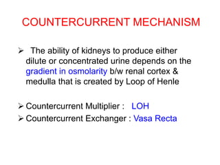 COUNTERCURRENT MECHANISM
 The ability of kidneys to produce either
dilute or concentrated urine depends on the
gradient in osmolarity b/w renal cortex &
medulla that is created by Loop of Henle
 Countercurrent Multiplier : LOH
 Countercurrent Exchanger : Vasa Recta
 