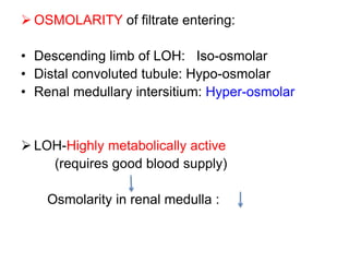 OSMOLARITY of filtrate entering:
• Descending limb of LOH: Iso-osmolar
• Distal convoluted tubule: Hypo-osmolar
• Renal medullary intersitium: Hyper-osmolar
 LOH-Highly metabolically active
(requires good blood supply)
Osmolarity in renal medulla :
 