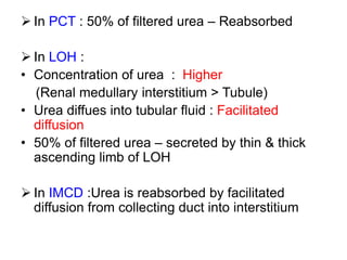  In PCT : 50% of filtered urea – Reabsorbed
 In LOH :
• Concentration of urea : Higher
(Renal medullary interstitium > Tubule)
• Urea diffues into tubular fluid : Facilitated
diffusion
• 50% of filtered urea – secreted by thin & thick
ascending limb of LOH
 In IMCD :Urea is reabsorbed by facilitated
diffusion from collecting duct into interstitium
 
