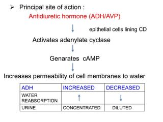  Principal site of action :
Antidiuretic hormone (ADH/AVP)
Activates adenylate cyclase
Genarates cAMP
Increases permeability of cell membranes to water
epithelial cells lining CD
ADH INCREASED DECREASED
WATER
REABSORPTION
URINE CONCENTRATED DILUTED
 