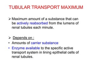 TUBULAR TRANSPORT MAXIMUM
 Maximum amount of a substance that can
be actively reabsorbed from the lumens of
renal tubules each minute.
 Depends on :
• Amounts of carrier substance
• Enzyme available to the specific active
transport system in lining epithelial cells of
renal tubules.
 