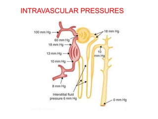 INTRAVASCULAR PRESSURES
 
