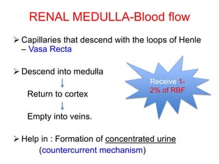 RENAL MEDULLA-Blood flow
 Capillaries that descend with the loops of Henle
– Vasa Recta
 Descend into medulla
Return to cortex
Empty into veins.
 Help in : Formation of concentrated urine
(countercurrent mechanism)
Receive 1-
2% of RBF
 