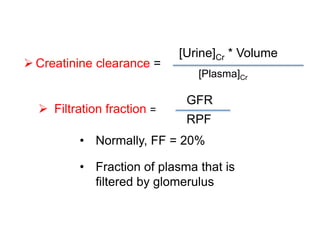  Creatinine clearance =
[Urine]Cr * Volume
[Plasma]Cr
 Filtration fraction =
GFR
RPF
• Normally, FF = 20%
• Fraction of plasma that is
filtered by glomerulus
 