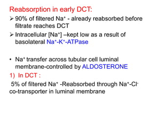 Reabsorption in early DCT:
 90% of filtered Na+ - already reabsorbed before
filtrate reaches DCT
 Intracellular [Na+] –kept low as a result of
basolateral Na+-K+-ATPase
• Na+ transfer across tubular cell luminal
membrane-controlled by ALDOSTERONE
1) In DCT :
5% of filtered Na+ -Reabsorbed through Na+-Cl-
co-transporter in luminal membrane
 
