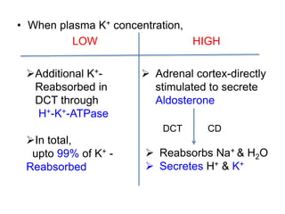 • When plasma K+ concentration,
LOW HIGH
Additional K+-
Reabsorbed in
DCT through
H+-K+-ATPase
In total,
upto 99% of K+ -
Reabsorbed
 Adrenal cortex-directly
stimulated to secrete
Aldosterone
 Reabsorbs Na+ & H2O
 Secretes H+ & K+
DCT CD
 