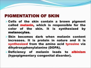 PIGMENTATION OF SKIN
Cells of the skin contain a brown pigment
called melanin, which is responsible for the
color of the skin. It is synthesized by
melanocytes.
Skin becomes dark when melanin content
increases. It is protein in nature and it is
synthesized from the amino acid tyrosine via
dihydroxyphenylalanine (DOPA).
Deficiency of melanin leads to albinism
(hypopigmentary congenital disorder).
 