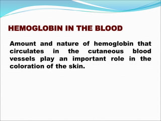 HEMOGLOBIN IN THE BLOOD
Amount and nature of hemoglobin that
circulates in the cutaneous blood
vessels play an important role in the
coloration of the skin.
 