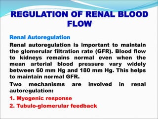 REGULATION OF RENAL BLOOD
FLOW
Renal Autoregulation
Renal autoregulation is important to maintain
the glomerular filtration rate (GFR). Blood flow
to kidneys remains normal even when the
mean arterial blood pressure vary widely
between 60 mm Hg and 180 mm Hg. This helps
to maintain normal GFR.
Two mechanisms are involved in renal
autoregulation:
1. Myogenic response
2. Tubulo-glomerular feedback
 