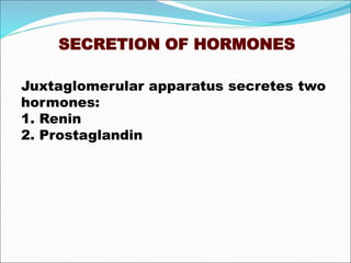 SECRETION OF HORMONES
Juxtaglomerular apparatus secretes two
hormones:
1. Renin
2. Prostaglandin
 