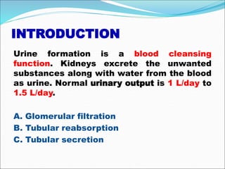 INTRODUCTION
Urine formation is a blood cleansing
function. Kidneys excrete the unwanted
substances along with water from the blood
as urine. Normal urinary output is 1 L/day to
1.5 L/day.
A. Glomerular filtration
B. Tubular reabsorption
C. Tubular secretion
 