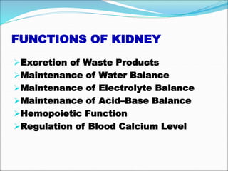 FUNCTIONS OF KIDNEY
Excretion of Waste Products
Maintenance of Water Balance
Maintenance of Electrolyte Balance
Maintenance of Acid–Base Balance
Hemopoietic Function
Regulation of Blood Calcium Level
 