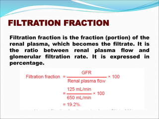 FILTRATION FRACTION
Filtration fraction is the fraction (portion) of the
renal plasma, which becomes the filtrate. It is
the ratio between renal plasma flow and
glomerular filtration rate. It is expressed in
percentage.
 