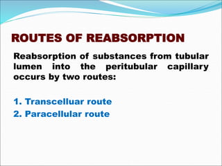 ROUTES OF REABSORPTION
Reabsorption of substances from tubular
lumen into the peritubular capillary
occurs by two routes:
1. Transcelluar route
2. Paracellular route
 