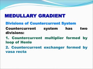 MEDULLARY GRADIENT
Divisions of Countercurrent System
Countercurrent system has two
divisions:
1. Countercurrent multiplier formed by
loop of Henle
2. Countercurrent exchanger formed by
vasa recta
 