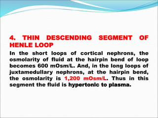 4. THIN DESCENDING SEGMENT OF
HENLE LOOP
In the short loops of cortical nephrons, the
osmolarity of fluid at the hairpin bend of loop
becomes 600 mOsm/L. And, in the long loops of
juxtamedullary nephrons, at the hairpin bend,
the osmolarity is 1,200 mOsm/L. Thus in this
segment the fluid is hypertonic to plasma.
 