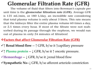 Glomerular Filtration Rate (GFR)
23
Factors that affect Glomerular Filtration Rate (GFR)
↑ Renal blood flow -- ↑ GFR, b/se it ↑capillary pressure
↑ Plasma protein -- ↓ GFR, b/se it ↑ oncotic pressure.
Hemorrhage -- ↓ GFR, b/se it ↓renal blood flow
Sympathetic Ns--↓ GFR, b/se afferent arteriole constriction
 
