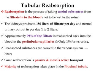 Tubular Reabsorption
 Reabsorption-is the process of taking useful substances from
the filtrate in to the blood (not to be lost in the urine)
 The kidneys produces 180 liters of filtrate per day and normal
urinary output in per day 1 to 2 liters.
 Approximately 99% of the filtrate is reabsorbed back into the
blood in the peritubular capillaries & Only 1% forms urine.
 Reabsorbed substances are carried to the venous system →
heart
 Some reabsorption is passive & most is active transport
 Majority of reabsorption takes place in the Proximal tubule.
 
