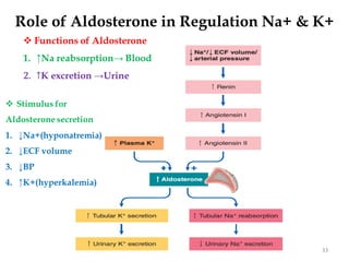 33
Role of Aldosterone in Regulation Na+ & K+
 