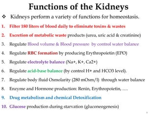 Functions of the Kidneys
 Kidneys perform a variety of functions for homeostasis.
1. Filter 180 liters of blood daily to eliminate toxins & wastes
2. Excretion of metabolic waste products (urea, uric acid & creatinine)
3. Regulate Blood volume & Blood pressure by control water balance
4. Regulate RBC formation by producing Erythropoietin (EPO)
5. Regulate electrolyte balance (Na+, K+, Ca2+)
6. Regulate acid-base balance (by control H+ and HCO3 level).
7. Regulate body fluid Osmolarity (280 mOsm/l) through water balance
8. Enzyme and Hormone production: Renin, Erythropoietin, ….
9. Drug metabolism and chemical Detoxification
10. Glucose production during starvation (gluconeogenesis)
4
 
