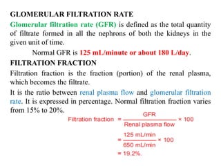 RENAL PHYSIOLoGY nursing students 4.pptx