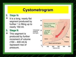 Renal Physiology 4(Micturition).ppt anatomy | PPT