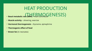 • Basal metabolic rate (BMR) – main contributor
• Muscle activity – shivering, exercise
• Hormonal thermogenesis – thyroxine, epinephrine
• Thermogenic effect of food
• Brown fat (in neonates)
HEAT PRODUCTION
(THERMOGENESIS)
 