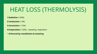 1.Radiation (~60%)
2.Conduction (~3%)
3.Convection (~15%)
4.Evaporation (~22%) – sweating, respiration
• Enhanced by vasodilation & sweating
HEAT LOSS (THERMOLYSIS)
 