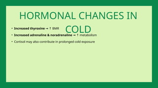 • Increased thyroxine → BMR
↑
• Increased adrenaline & noradrenaline → metabolism
↑
• Cortisol may also contribute in prolonged cold exposure
HORMONAL CHANGES IN
COLD
 