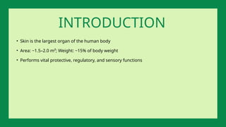 • Skin is the largest organ of the human body
• Area: ~1.5–2.0 m²; Weight: ~15% of body weight
• Performs vital protective, regulatory, and sensory functions
INTRODUCTION
 