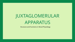 Structure and Functions in Renal Physiology
JUXTAGLOMERULAR
APPARATUS
 