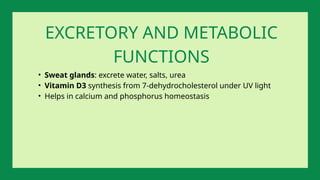 EXCRETORY AND METABOLIC
FUNCTIONS
• Sweat glands: excrete water, salts, urea
• Vitamin D3 synthesis from 7-dehydrocholesterol under UV light
• Helps in calcium and phosphorus homeostasis
 