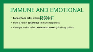 IMMUNE AND EMOTIONAL
ROLE
• Langerhans cells: antigen-presenting
• Plays a role in cutaneous immune responses
• Changes in skin reflect emotional states (blushing, pallor)
 