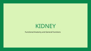 Functional Anatomy and General Functions
KIDNEY
 