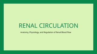 Anatomy, Physiology, and Regulation of Renal Blood Flow
RENAL CIRCULATION
 