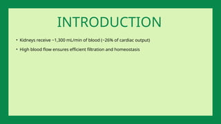 • Kidneys receive ~1,300 mL/min of blood (~26% of cardiac output)
• High blood flow ensures efficient filtration and homeostasis
INTRODUCTION
 