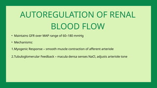 • Maintains GFR over MAP range of 60–180 mmHg
• Mechanisms:
1.Myogenic Response – smooth muscle contraction of afferent arteriole
2.Tubuloglomerular Feedback – macula densa senses NaCl, adjusts arteriole tone
AUTOREGULATION OF RENAL
BLOOD FLOW
 