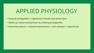 • Impaired autoregulation hypotension-induced acute kidney injury
→
• NSAIDs can reduce renal perfusion by inhibiting prostaglandins
• Renal artery stenosis reduced renal perfusion renin activation hypertension
→ → →
APPLIED PHYSIOLOGY
 