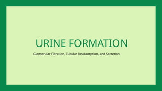 Glomerular Filtration, Tubular Reabsorption, and Secretion
URINE FORMATION
 