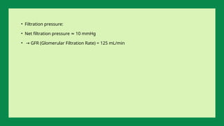• Filtration pressure:
• Net filtration pressure 10 mmHg
≈
• → GFR (Glomerular Filtration Rate) = 125 mL/min
 