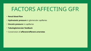 • Renal blood flow
• Hydrostatic pressure in glomerular capillaries
• Oncotic pressure in capillaries
• Tubuloglomerular feedback
• Constriction of afferent/efferent arterioles
FACTORS AFFECTING GFR
 