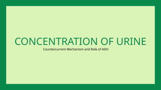 Countercurrent Mechanism and Role of ADH
CONCENTRATION OF URINE
 