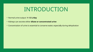 • Normal urine output: 1–1.5 L/day
• Kidneys can excrete either dilute or concentrated urine
• Concentration of urine is essential to conserve water, especially during dehydration
INTRODUCTION
 