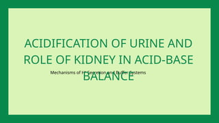 Mechanisms of H⁺ Secretion and Buffer Systems
ACIDIFICATION OF URINE AND
ROLE OF KIDNEY IN ACID-BASE
BALANCE
 