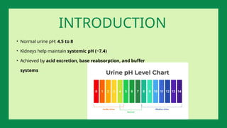• Normal urine pH: 4.5 to 8
• Kidneys help maintain systemic pH (~7.4)
• Achieved by acid excretion, base reabsorption, and buffer
systems
INTRODUCTION
 
