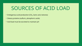 • Endogenous acid production (CO₂, lactic acid, ketones)
• Dietary proteins (sulfuric, phosphoric acids)
• Acid load must be excreted to maintain pH
SOURCES OF ACID LOAD
 