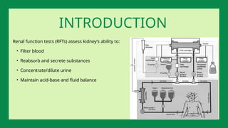 Renal function tests (RFTs) assess kidney’s ability to:
• Filter blood
• Reabsorb and secrete substances
• Concentrate/dilute urine
• Maintain acid-base and fluid balance
INTRODUCTION
 
