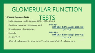 1. Plasma Clearance Tests
• Inulin clearance – gold standard (GFR = ~125 mL/min)
• Creatinine clearance – commonly used
• Urea clearance – less accurate
• Formula:
• C = (U × V) / P
• Where C = clearance, U = urine conc., V = urine volume/min, P = plasma conc.
GLOMERULAR FUNCTION
TESTS
 
